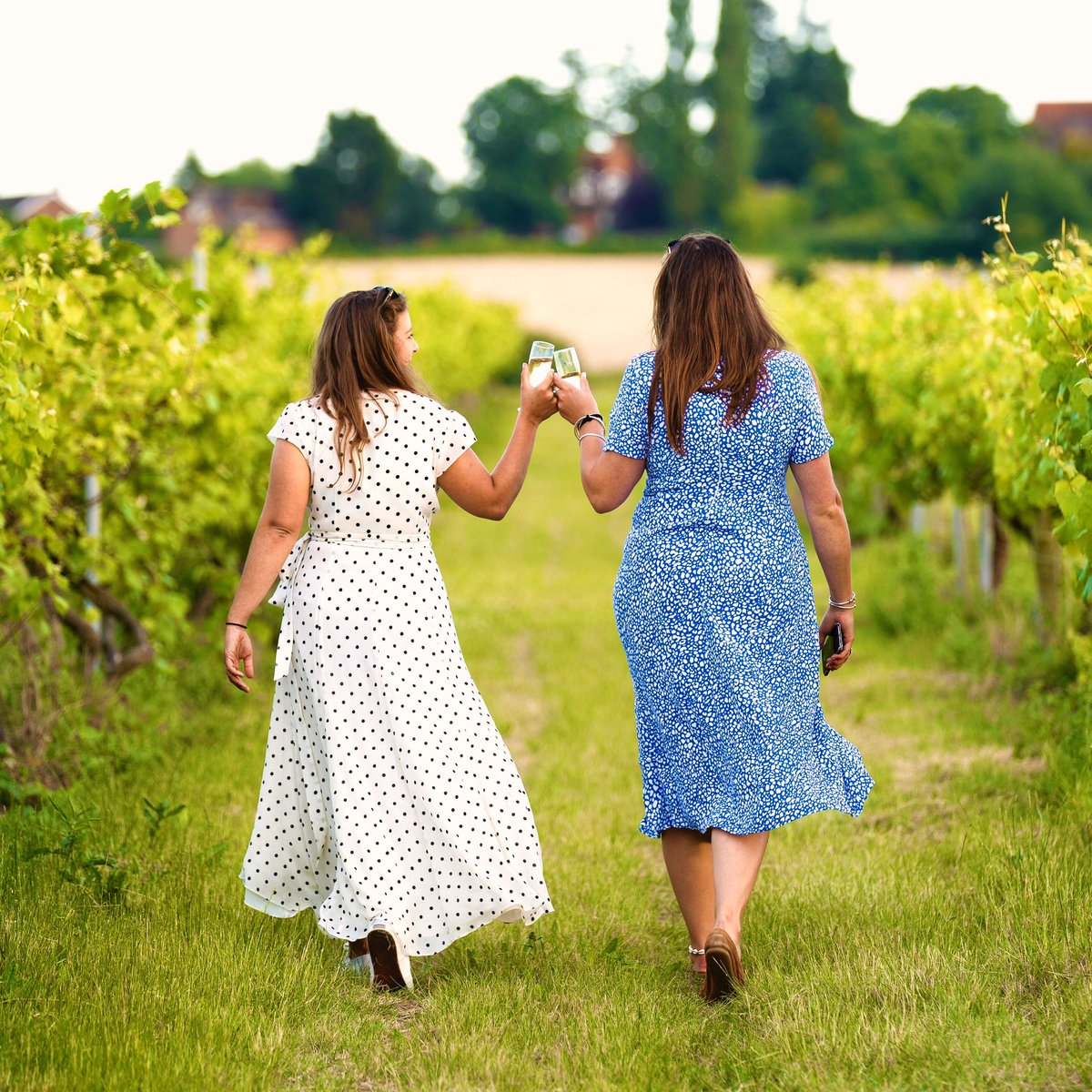To all the incredible, inspiring women we get to work with, in the wine industry and beyond - here’s to strolling through the vineyard of life with laughter in your hearts and glasses held high! Happy #InternationalWomensDay! 🍇🥂🫶 

#ConnieMullinsPhotography 
#EnglishWine