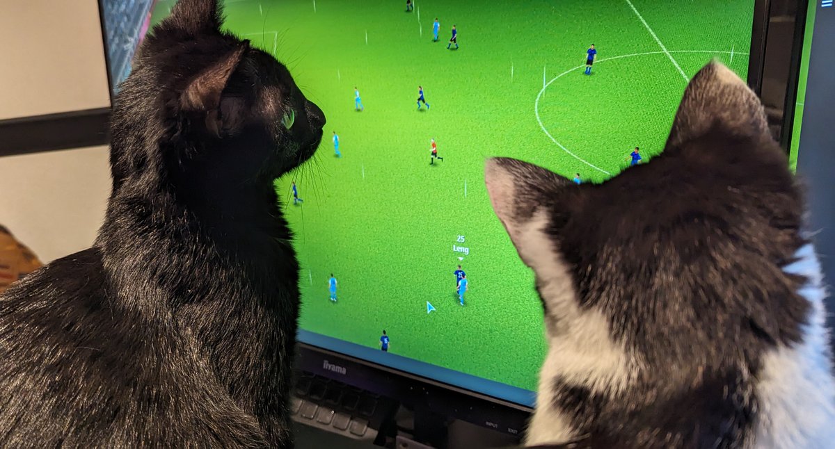 Die Experten von Miau-Gaming geben 10 von 10 Pfoten für #WeAreFootball2024

Sie finden es nur etwas schade, dass sich die Währung nicht auf "Mäuse" umstellen lässt.