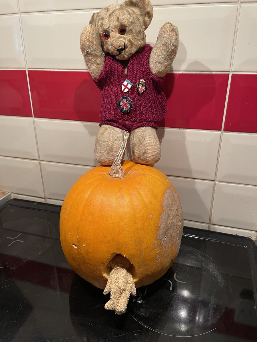 Today, I shall be cooking Hooms last pumpkin, and making pies, they are so, oi, likkle likkle Ted, get out of the pumpkin, it’s not for hibernating in, pfft!