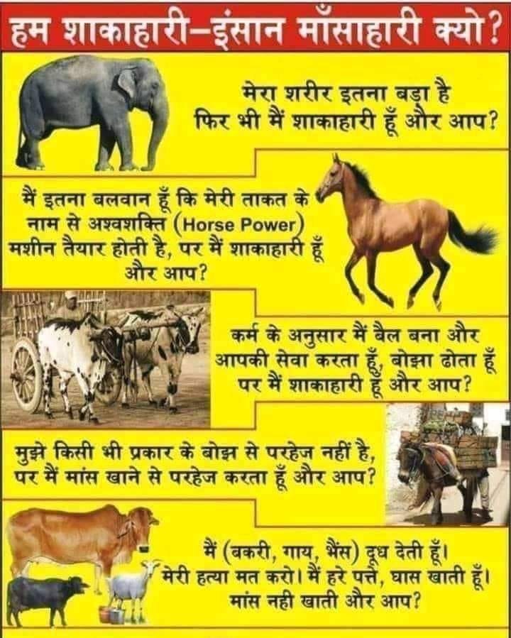 हूं शाकाहारी तों इंसान माँसाहरी क्यों ?
.
.
.
#VegetarianLife
#PlantBased
#AnimalRights
#EcoFriendlyLiving
#GreenLiving
#CrueltyFree
#SustainableEating
#EthicalChoices
#EnvironmentalConservation
#VeganCommunity
#MeatlessMonday
#CompassionateLiving
#FarmToTable
#AnimalFriendly