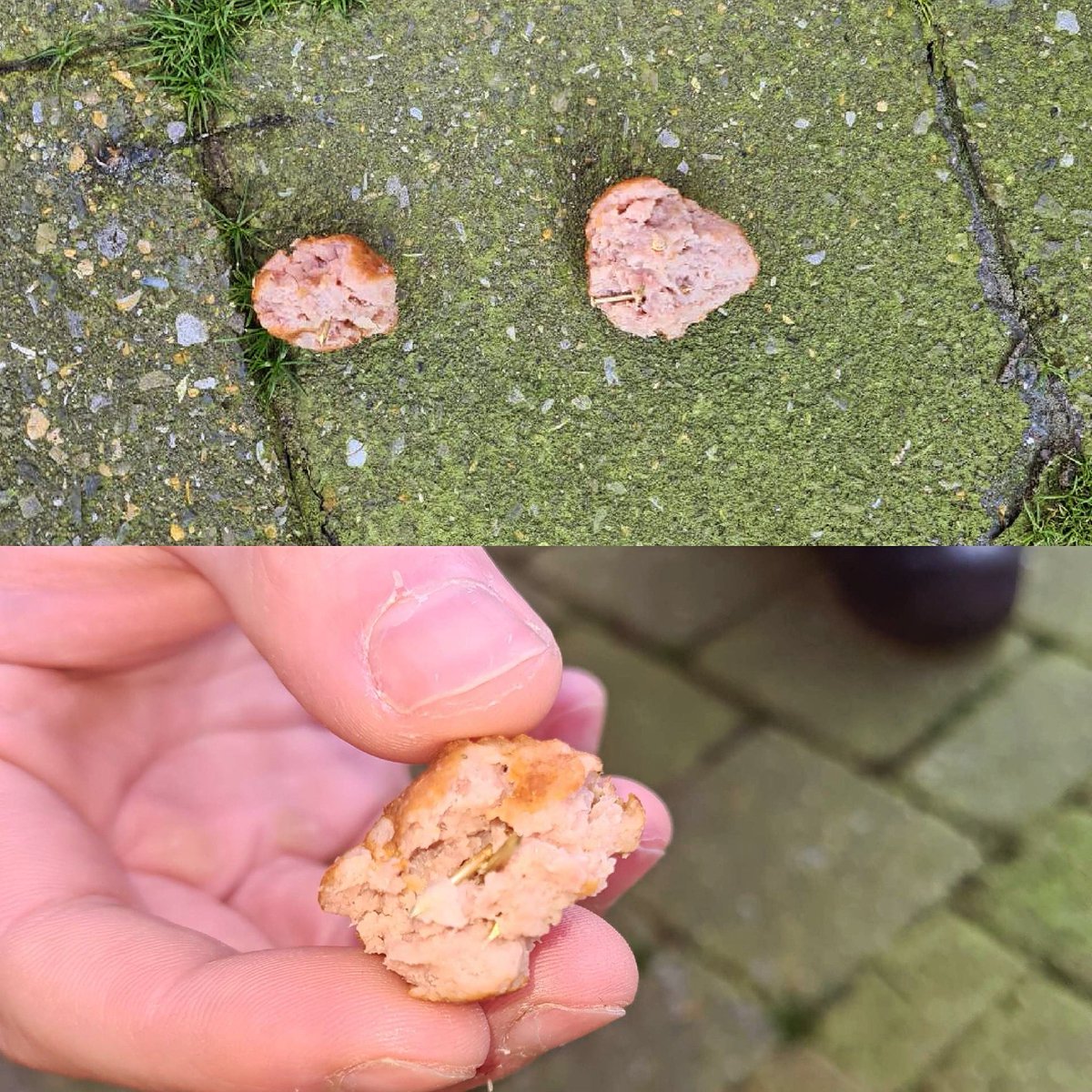 POL_Weerijs's tweet photo. ⚠️‼️ | Hondeneigenaren in de omgeving Lange Tiende Rijsbergen opgelet! We hebben melding ontvangen van gehaktballetjes geprepareerd met spijkers. We nemen dit erg serieus! Collega’s dierenpolitie onderzoeken de herkomst. #politie #rijsbergen https://t.co/8gechN0xPc