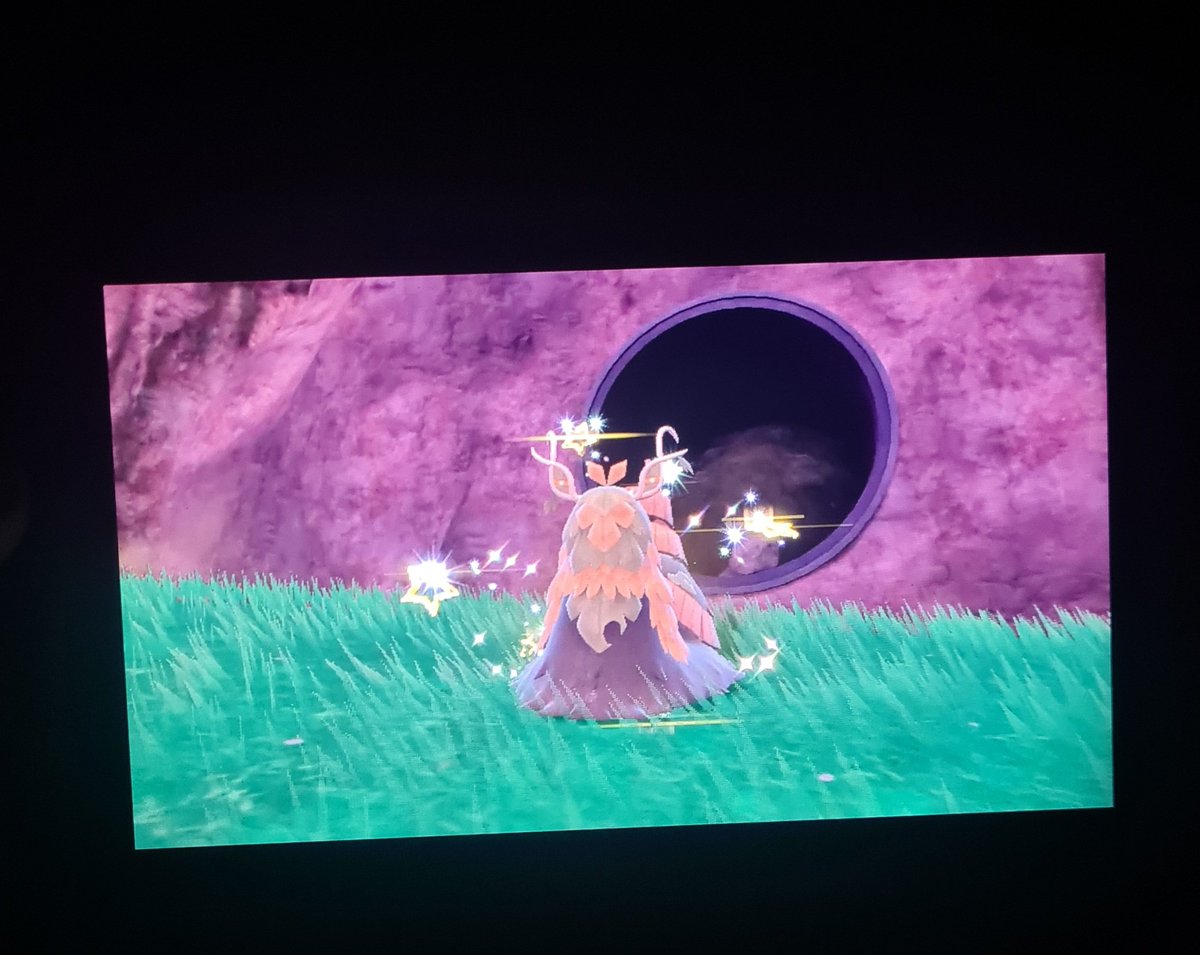 saroul's tweet photo. Shiny du matin bonjour ! Oooui enfin trouver ce magnifique Chongjian shiny en 3876 reset 🤩 un shiny qui marque mon début dans le delock des jeux switch 😋Juste magnifique les couleurs je suis choquer 😭 https://t.co/8HGpdy2RNU