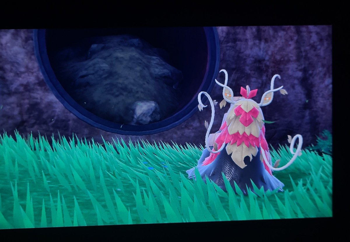 saroul's tweet photo. Shiny du matin bonjour ! Oooui enfin trouver ce magnifique Chongjian shiny en 3876 reset 🤩 un shiny qui marque mon début dans le delock des jeux switch 😋Juste magnifique les couleurs je suis choquer 😭 https://t.co/8HGpdy2RNU