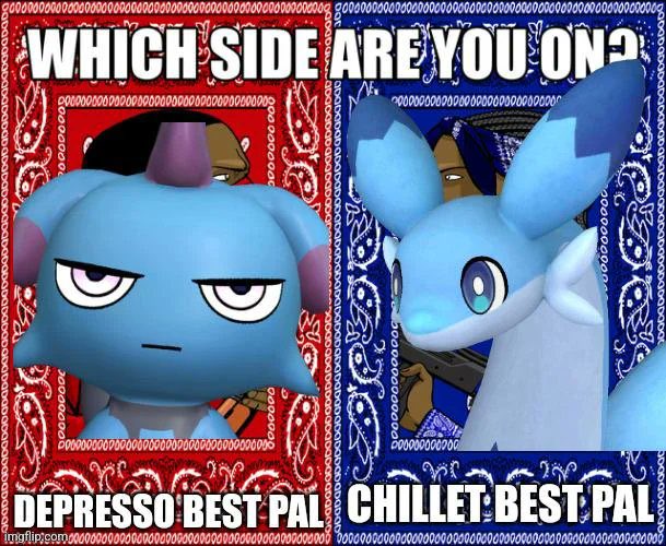 PALDIVERS tweet media