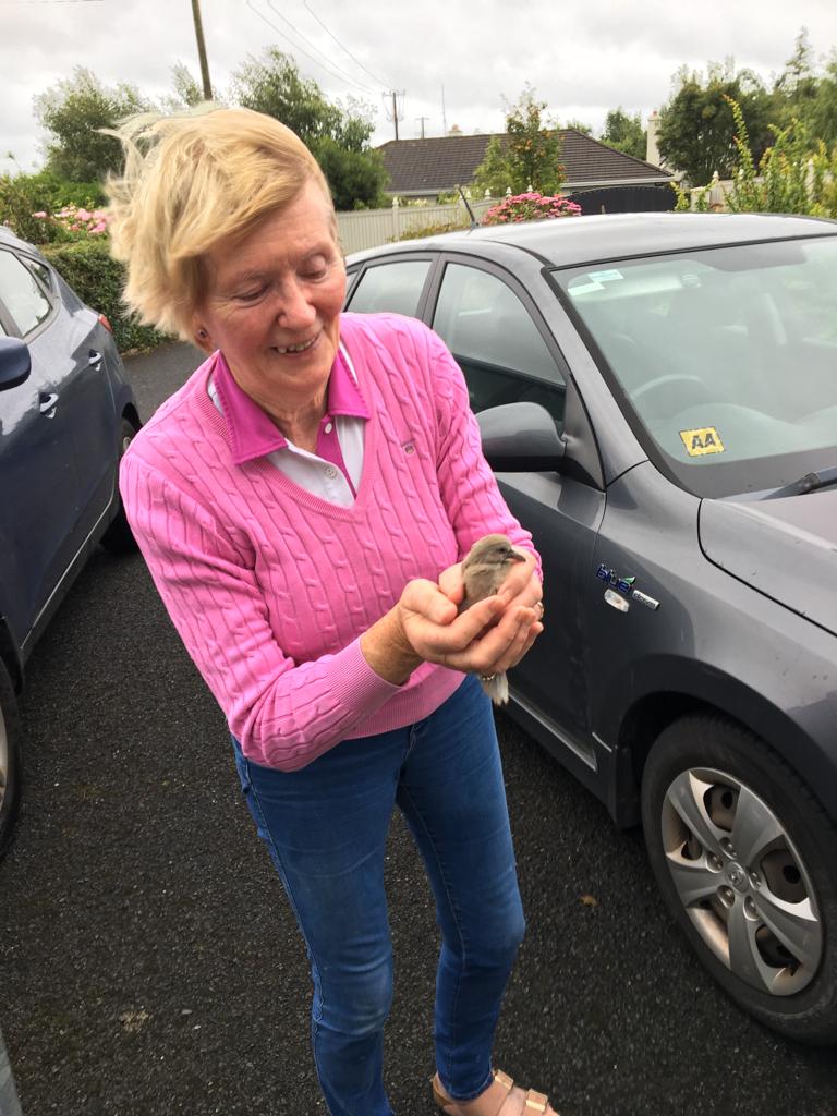 Áine Binchy (@ainebinchy) on Twitter photo Our mum, Alice Flanagan, proves age is just a number (def > 80!), winning 3 golf competitions this week in Rosses Point <a href="/IrishGolfDesk/">Brian Keogh</a> <a href="/CountySligoGC/">The County Sligo Golf Club</a> <a href="/CountySligoGCL/">CountySligoGC Ladies</a> <a href="/kpaflanagan/">Dr Kevin Flanagan</a> <a href="/smnflanagan/">Siobhán Flanagan</a> <a href="/ShaneFlanSligo/">Shane Flanagan</a> <a href="/flano7/">Mark Flanagan</a> Our mum, Alice Flanagan, proves age is just a number (def > 80!), winning 3 golf competitions this week in Rosses Point <a href="/IrishGolfDesk/">Brian Keogh</a> <a href="/CountySligoGC/">The County Sligo Golf Club</a> <a href="/CountySligoGCL/">CountySligoGC Ladies</a> <a href="/kpaflanagan/">Dr Kevin Flanagan</a> <a href="/smnflanagan/">Siobhán Flanagan</a> <a href="/ShaneFlanSligo/">Shane Flanagan</a> <a href="/flano7/">Mark Flanagan</a>