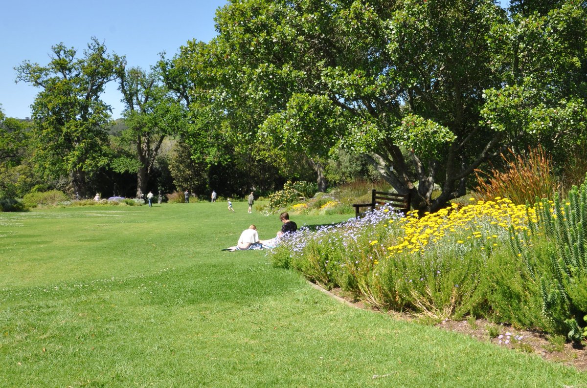 Kirstenbosch is rated as one of the world’s best picnic spots, which are also family-friendly. Pack your basket, buy a picnic, or order your lunch to go to any one of the three eateries in the Garden. 📷: Alice Notten #KirstenboschNBG #picnic #friday