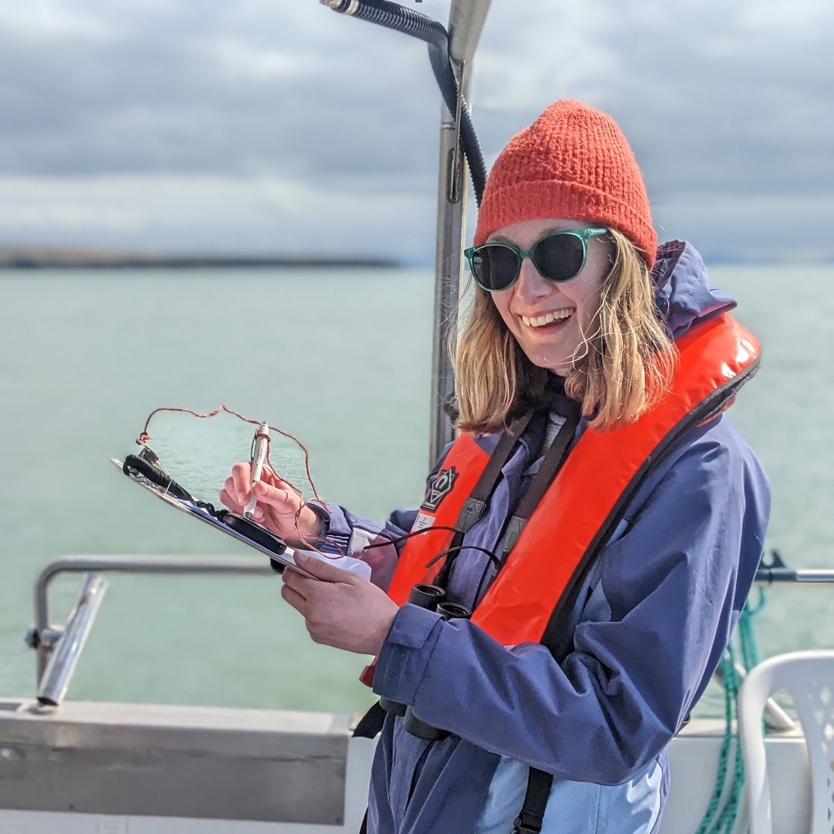 Lilian Lieber tweet media