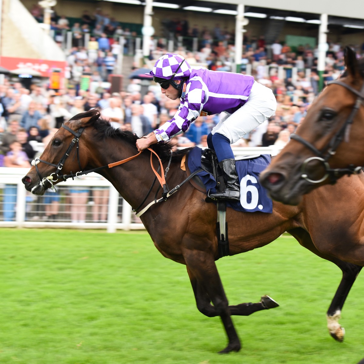 @HollieDoyle1 2️⃣ @almracing is the top female trainer at Yarmouth. Pictured is Catwalk Model under jockey Frederick Larson who won during our Family Fun Day in August 2023. Be sure to celebrate the women around you and in the industry today!🧡