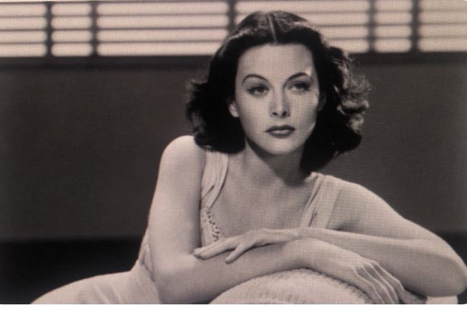 Maria José tweet media