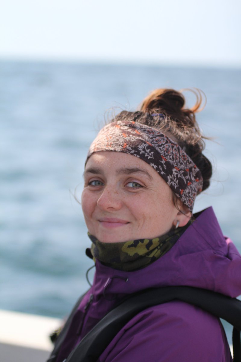 Lilian Lieber tweet media