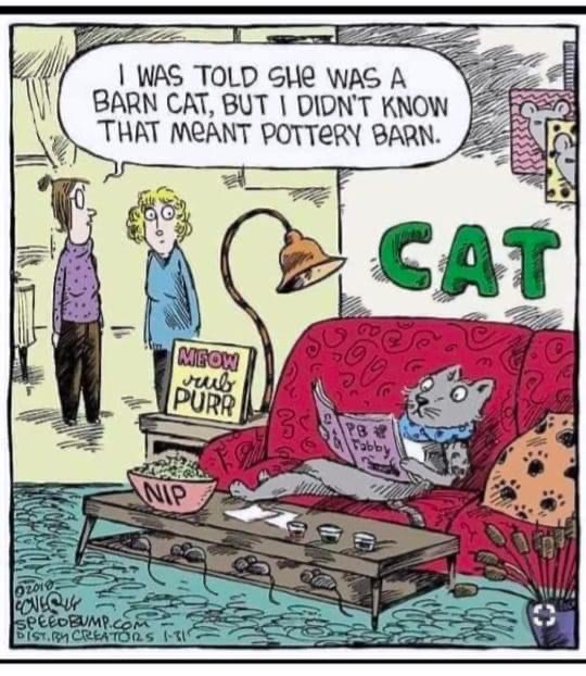 PCPSI's tweet image. #FridayFun
#potterybarn