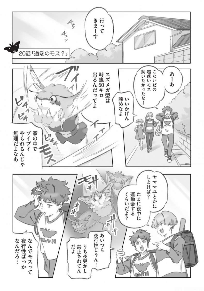 大きくてモスモスのモス?を捕獲した漫画 (1/3) 