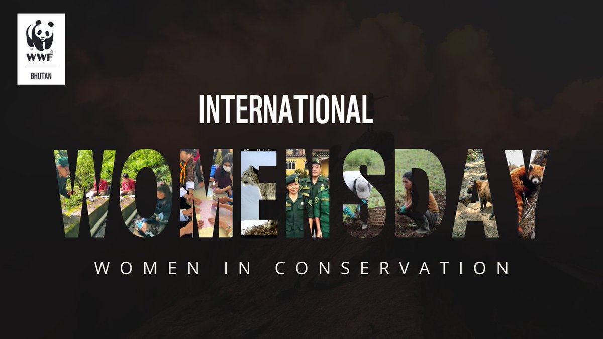 Wishing all women across the globe a very Happy International Women's Day. Watch Women in conservation story here - youtu.be/3gm6SH6pjxM?si… Read Water Heroines here: bhutan.panda.org/?384055/Water-…