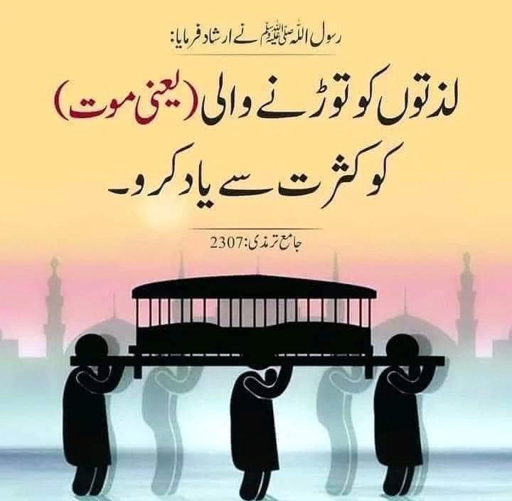 rizviaparty's tweet photo. #rizviaparty #imam #mola #haq #imamali #alimola #molaali #alihaq #haqali #molahussain #imamhussain #karbalaa #najaf #imamaliquotes #yaalimadad #yaalimadadع #prophetmuhammadﷺ #prophetmuhammad #prophetmohammed #prophetmohammad #prophetmuhammedﷺ #prophetmuhammed #prophetmohammad https://t.co/uA6VZHPqZd