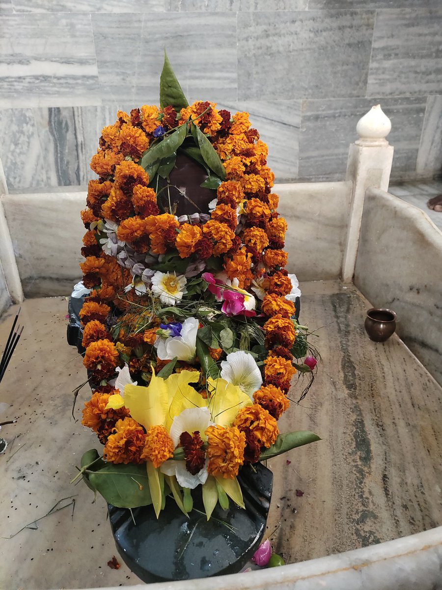 श्री रसेश्वर महादेव काशी हिन्दू विश्व विद्यालय दिनाँक 08 मार्च 2024। 

श्री महादेव हम सभी पर  कृपालु होवें।

यह बिनती रघुबीर गोसाई
