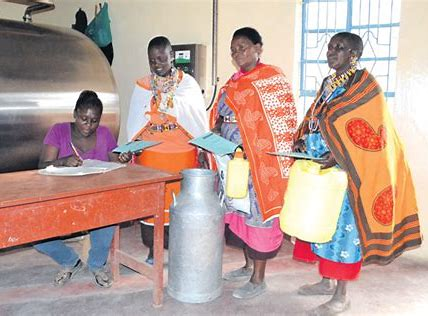 254First's tweet image. On #IWD2024, celebrating the efforts of organisations like the Kajiado Women's Dairy Cooperative who are empowering pastoralist women with training and resources to become self-reliant milk producers, thus transforming livelihoods in their communities. #KajiadoCounty #LindaKatiba