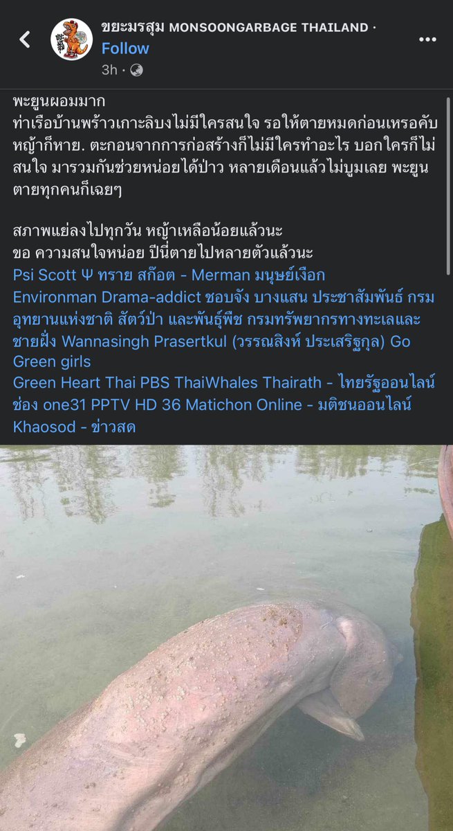 ต้องหน่วยงานไหน หรือใครหรอ ที่จะมาช่วยแก้ปัญหากับเคสนี้ มัน urgent มากๆๆๆๆ สงสารน้อง สภาพไม่ไหวแล้ว ปีนี้ตายไปหลายตัวแล้วด้วยนะ 😭😭😭 ช่วยกระจายข่างออกไปกันหน่อยได้มั้ยคะ สงสาร 😢😢😢😢