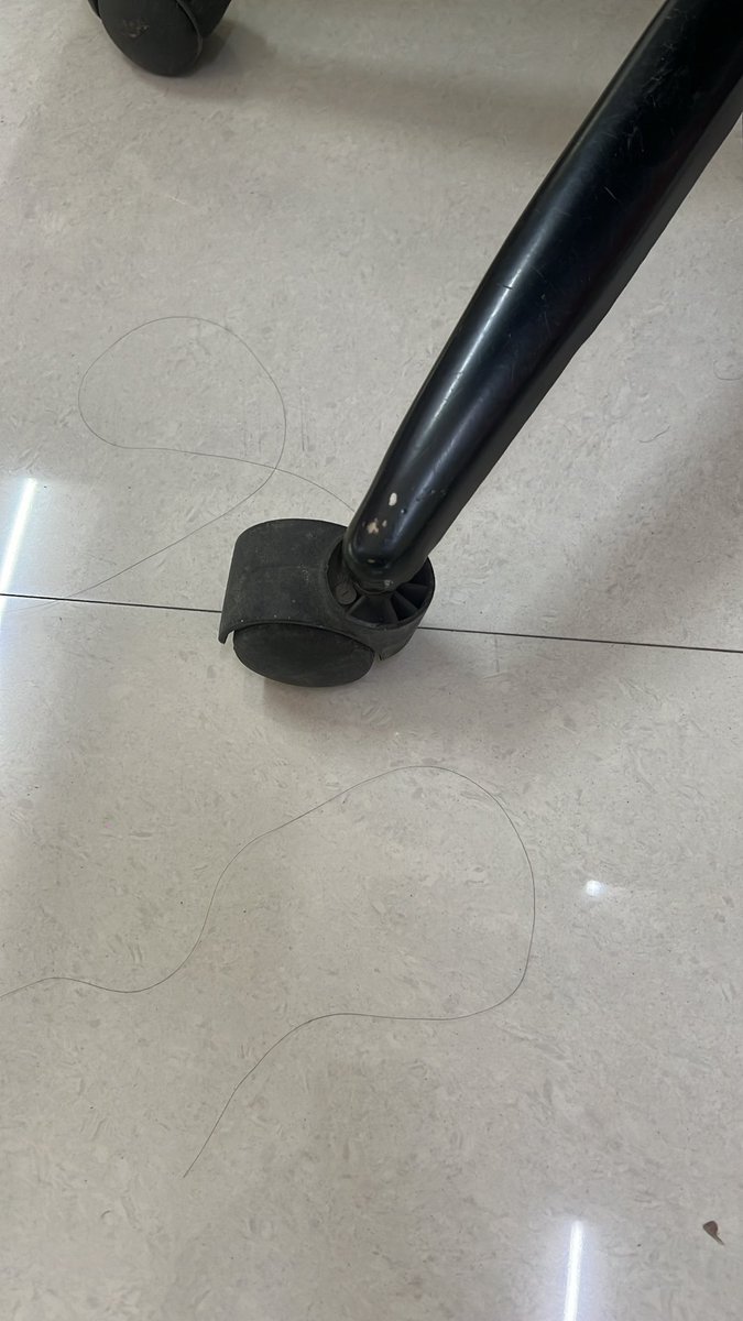 thesocma's tweet photo. Happy Women’s Day to all the beautiful fallen hair of HER.

Ps. You are just doing great.
#happyinternationalwomensday #womensday https://t.co/tuHqUeH0eS