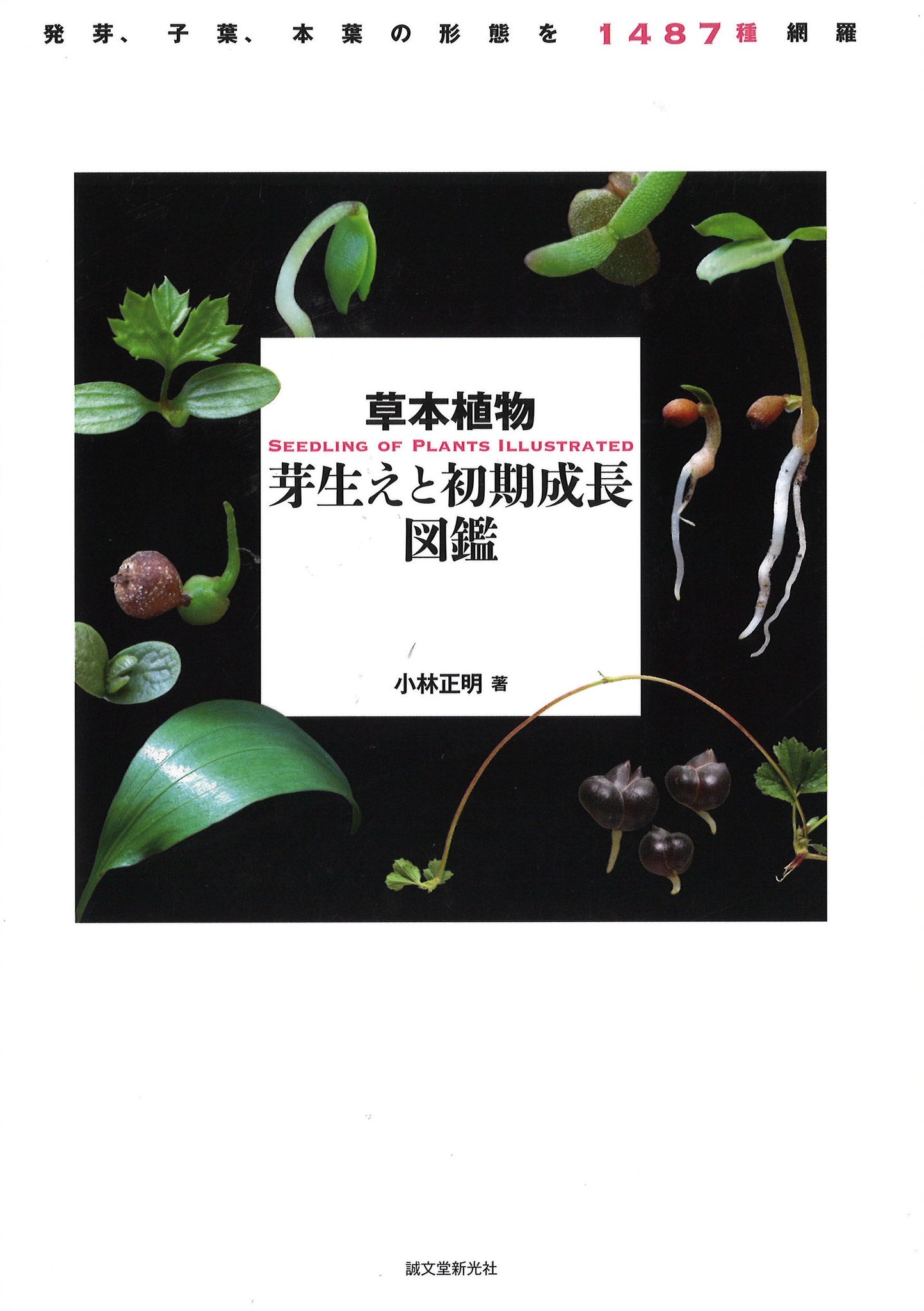 送料無料】[本/雑誌]/草本植物芽生えと初期成長図鑑 発芽、子葉、本葉