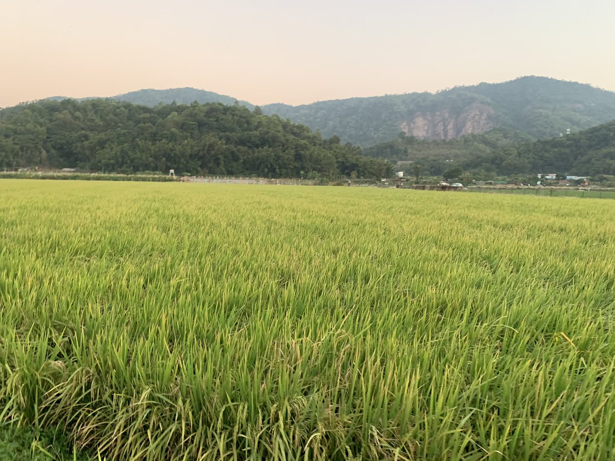 还记得你何时加入 X 吗？我知道！#我的X周年纪念日