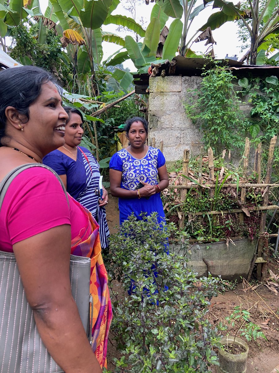 ADRA Sri Lanka (@adra_lk) on Twitter photo 