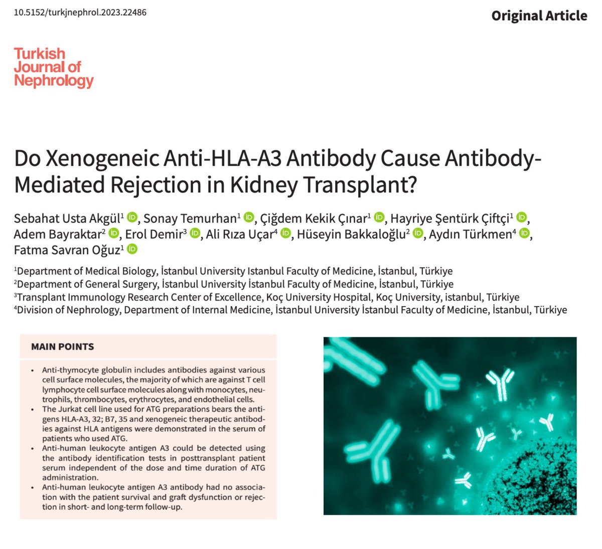 Usta Akgül S. et al. demonstrated that xenogeneic anti-human leukocyte antigen A3 antibody could be detected in posttransplant serum of patients receiving anti-thymocyte globulin induction independent of the dose and duration.