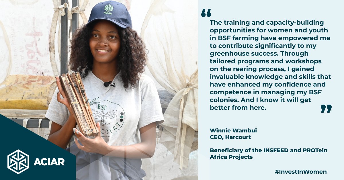 This #IWD, I'm proud to spotlight #ACIAR's unwavering support for women in Black Soldier Fly (BSF) farming! ACIAR fosters a more equitable and prosperous future for all through training, resources, and opportunities.

Let's amplify women's voices in agriculture!
#InvestInWomen