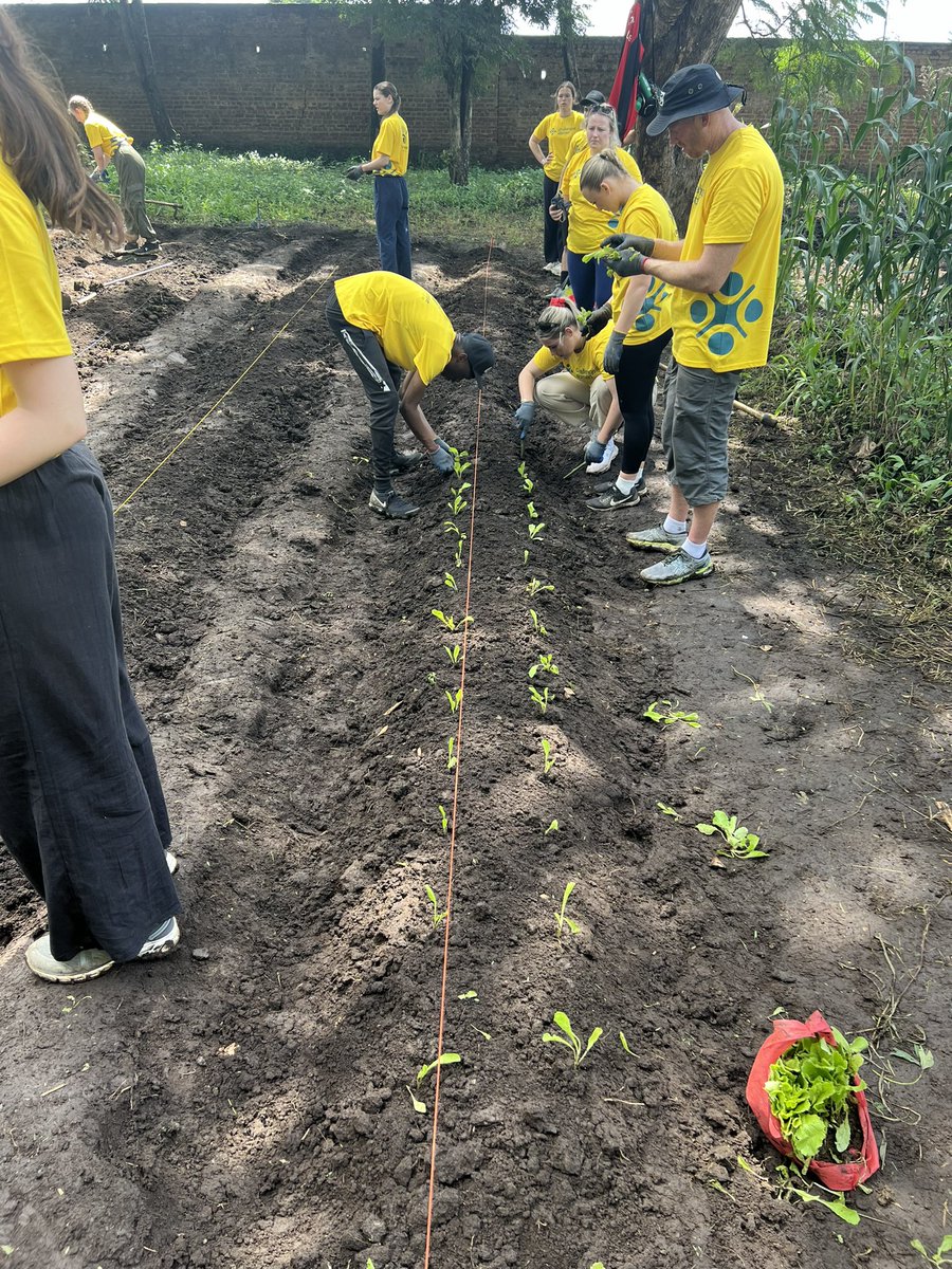 Conor Lees tweet media