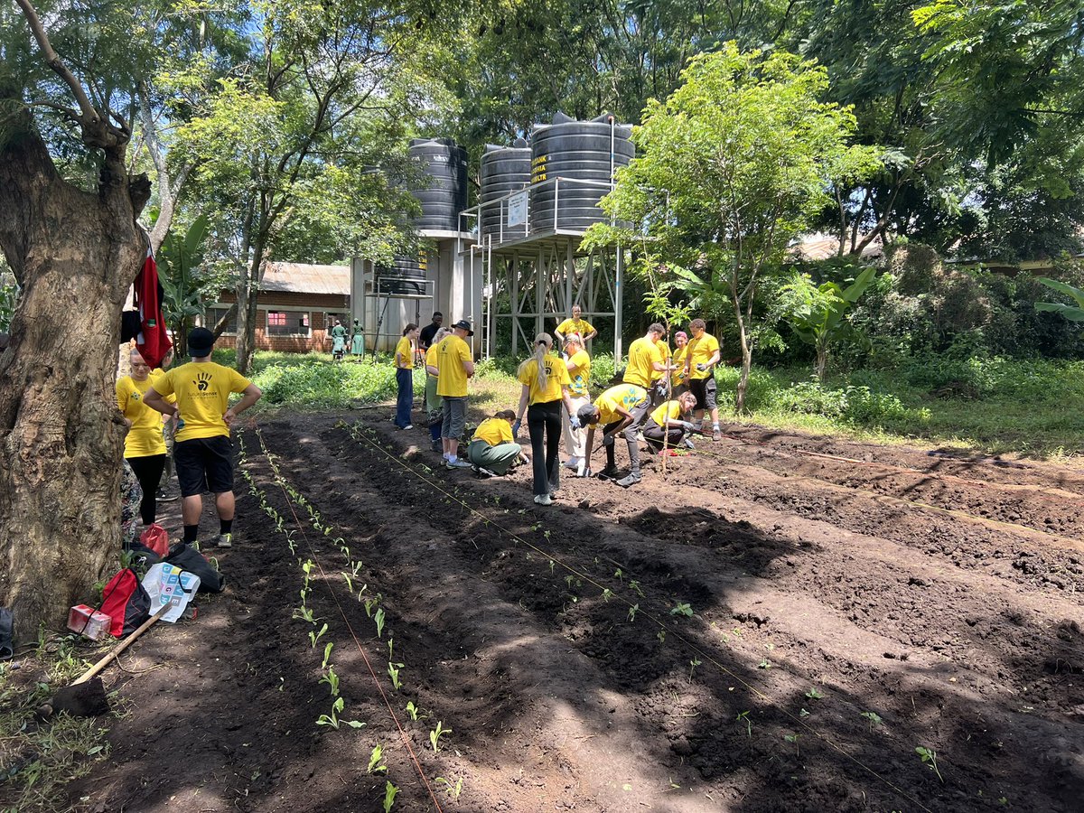 Conor Lees tweet media