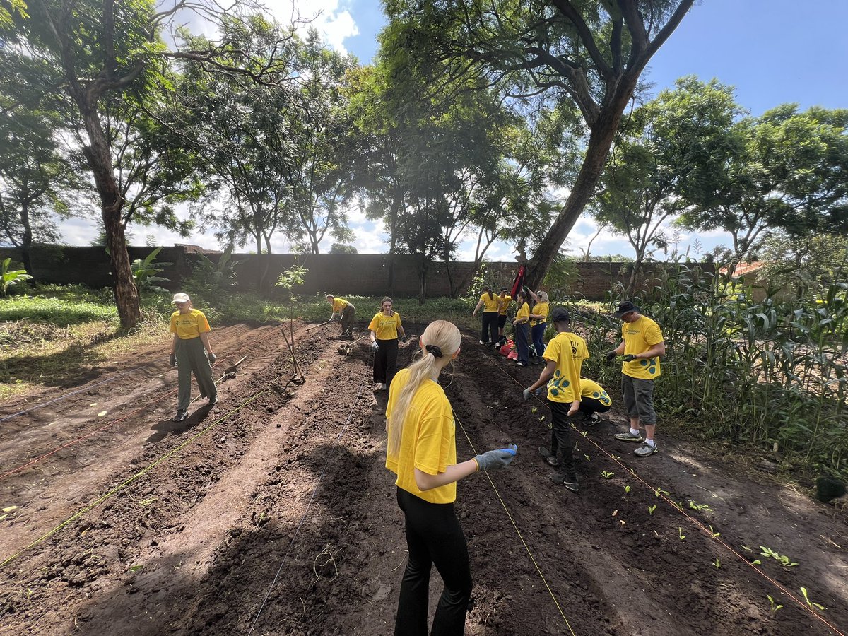 Conor Lees tweet media