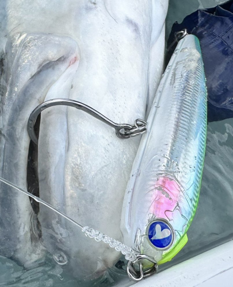 スカイグレイルアー (@skygreylures) / Posts / X