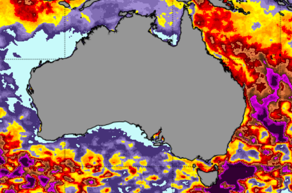 And support for protecting the Great Southern Reef, where 95% of Australia's unique marine life resides? Also most people and marine industries? Heatwave currently off the scale (black) off Tasmania. Current heating plot from NOAA below (6 Mar 24).