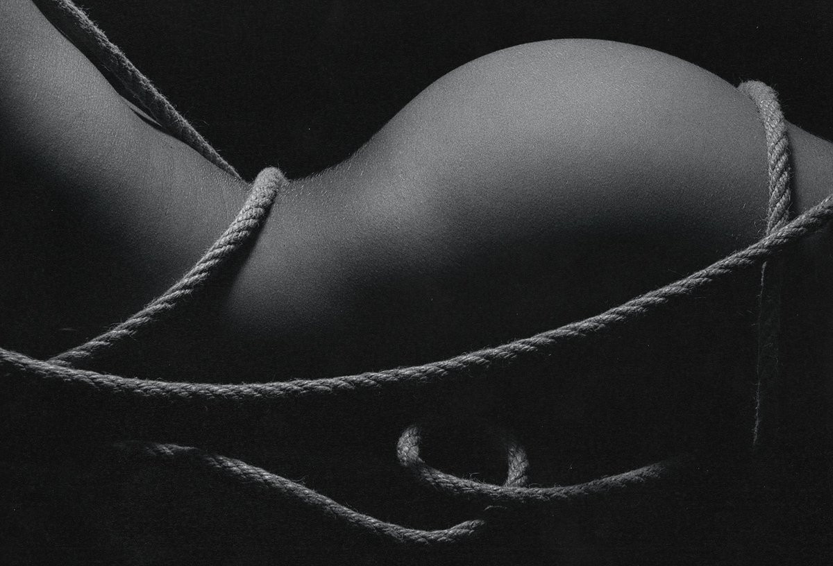 Let_It_Devour's tweet photo. Lifted chin
Flaming sin
Glowing in solemn eyes
Quiet sounds
Sound so loud
Tighter pull the ties
All control
Devoured whole
Under the dark moonrise
#ThursdayTail
#EroticismFan https://t.co/DSAXF7iqLm