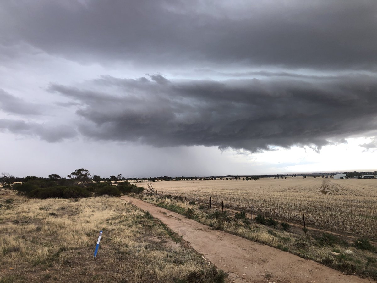 Nice little storm forming over Bruce Rock