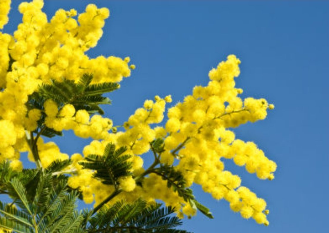 Nel 2023 sono state ammazzate 120 donne.
Tra loro 1 su 4 uccisa dai propri figli.
(Dati Polizia di Stato)

I pericoli non sono solo là fuori.
Servono politiche di sostegno per le famiglie!
Buon #8marzo2024