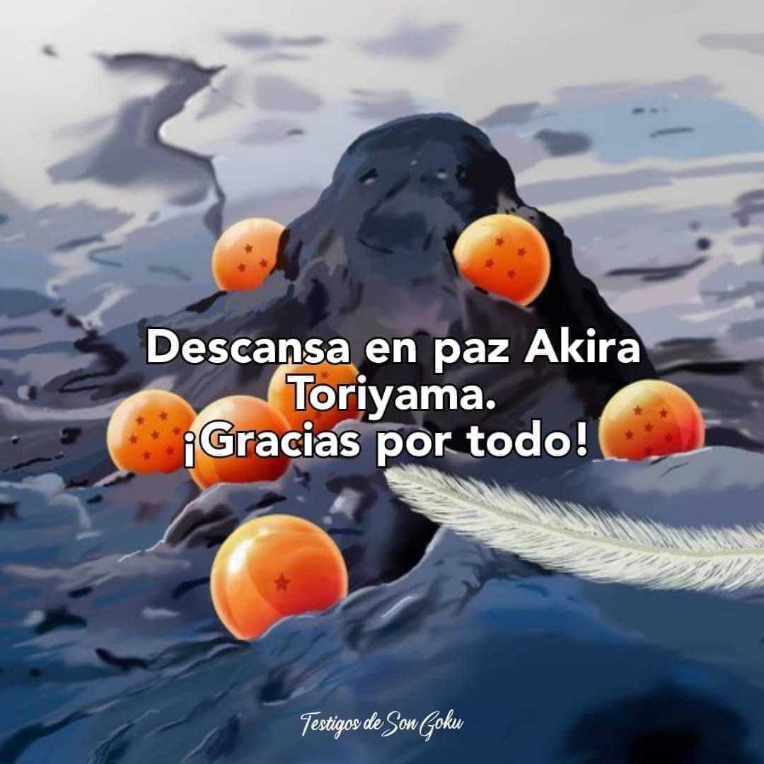 DB_Simplemente's tweet photo. Han pasado algunas horas, y todo sigue tan difuso, jamás pensé llorar por una persona que no conocia. https://t.co/rMxdMsi4Jz