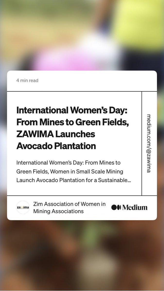🥑This #InternationalWomensDay we celebrate our innovative avocado plantation project in which will benefit women in mining communities through reclaiming land and creating sustainable alternative livelihoods.

Read more about the project at: medium.com/@zawima/intern…