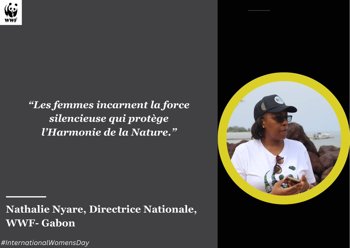 WWF_CongoBasin tweet media