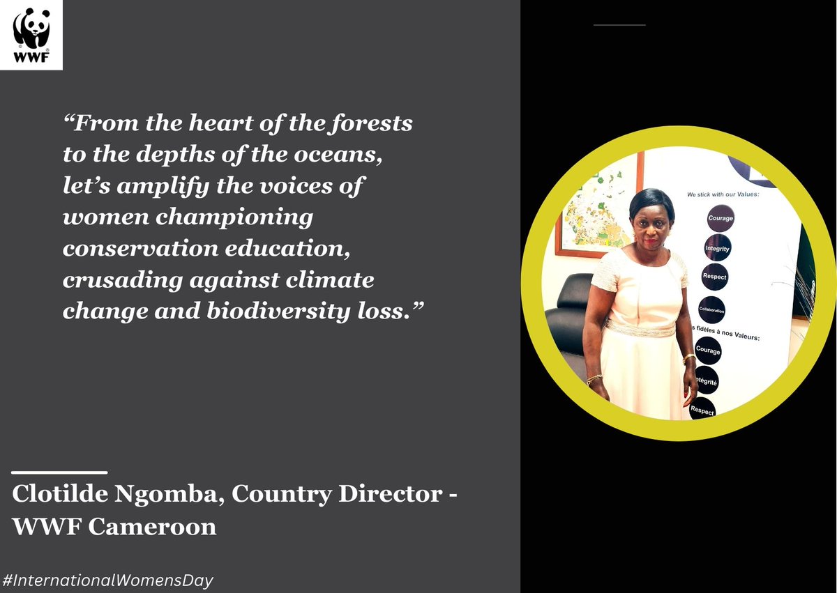 WWF_CongoBasin tweet media