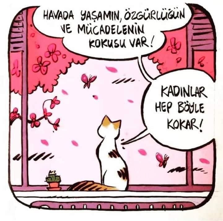 aliye_dolek's tweet photo. Havada
              yaşamın
özgürlüğün ve
              mücadelenin
kokusu var... 
Kadınlar hep böyle kokar...
#8Mart2024
#8MartDünyaEmekçiKadınlarGünü https://t.co/vkVEY3zRv4