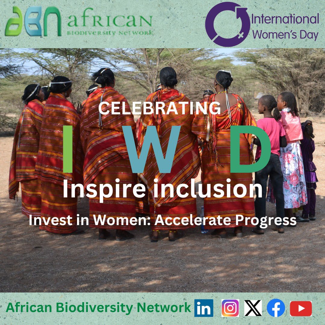 This International Women's Day, ABN celebrates African women for their expertise in indigenous seed preservation, linking their practices to Sustainable Development Goals. #womensday #womensday2024 #internationalwomensday #InspireInclusion