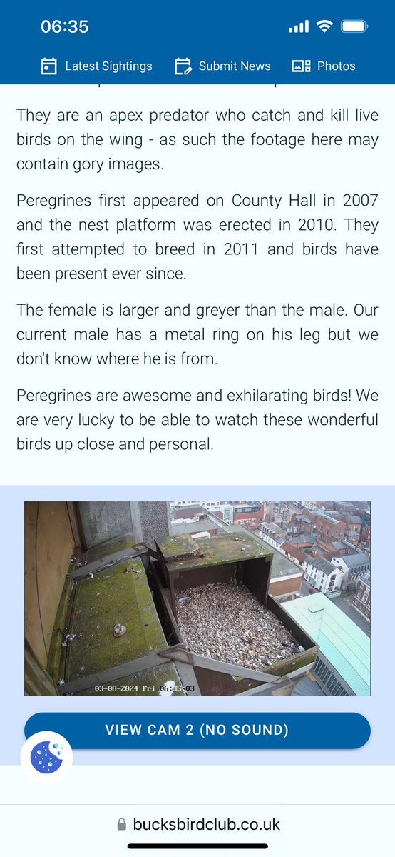 Oh are we excited over here at BBC HQ (no, not that BBC, BUT, we are now broadcasting :-)) not only do we have the best web team ever, but we can now watch our incredible Peregrines nesting - bucksbirdclub.co.uk/birding-in-buc… (just not in the screenshot below yet) - please share.