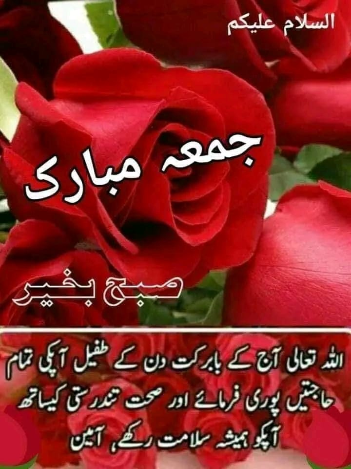 @AGHAA_1 @0MNS4 @0MNS5 @y11j3 @ifrah01 @Tmk69 @Furq32 @ati9933 @ma6960 @Zebe900 @tehree19 @Butt1969 @xohailsss @afzal_891 @mns_tiger @AGHAA_G @potha_766 @khansk909 @Haniya_577 @Ayesha7877 @AbuBukar35 @shakir_daudzai @fayazshahpmln @mian_alias90813 @Bashara08750204