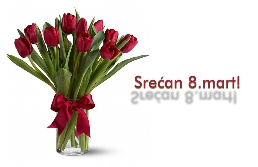 Branislav.M (@branislav_m843) on Twitter photo 