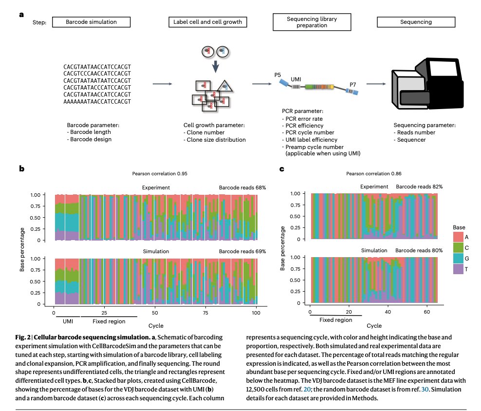BioDecoded's tweet photo. Extracting, filtering and simulating cellular barcodes using CellBarcode tools | Nature Computational Science
https://t.co/0RcGSKObfh

#Bioinformatics https://t.co/KGp7qdHgBj