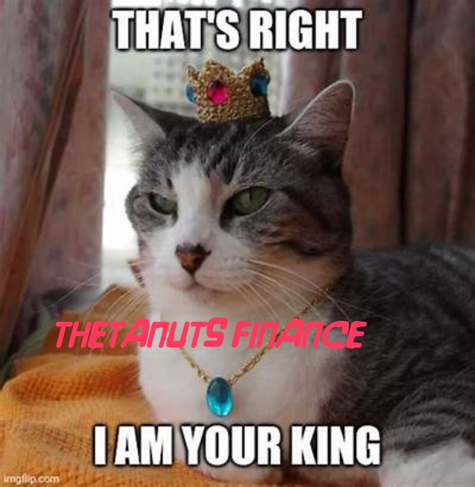 Bonchau4's tweet photo. King of defi Thetanuts finance @ThetanutsFi https://t.co/3okc65CoxY