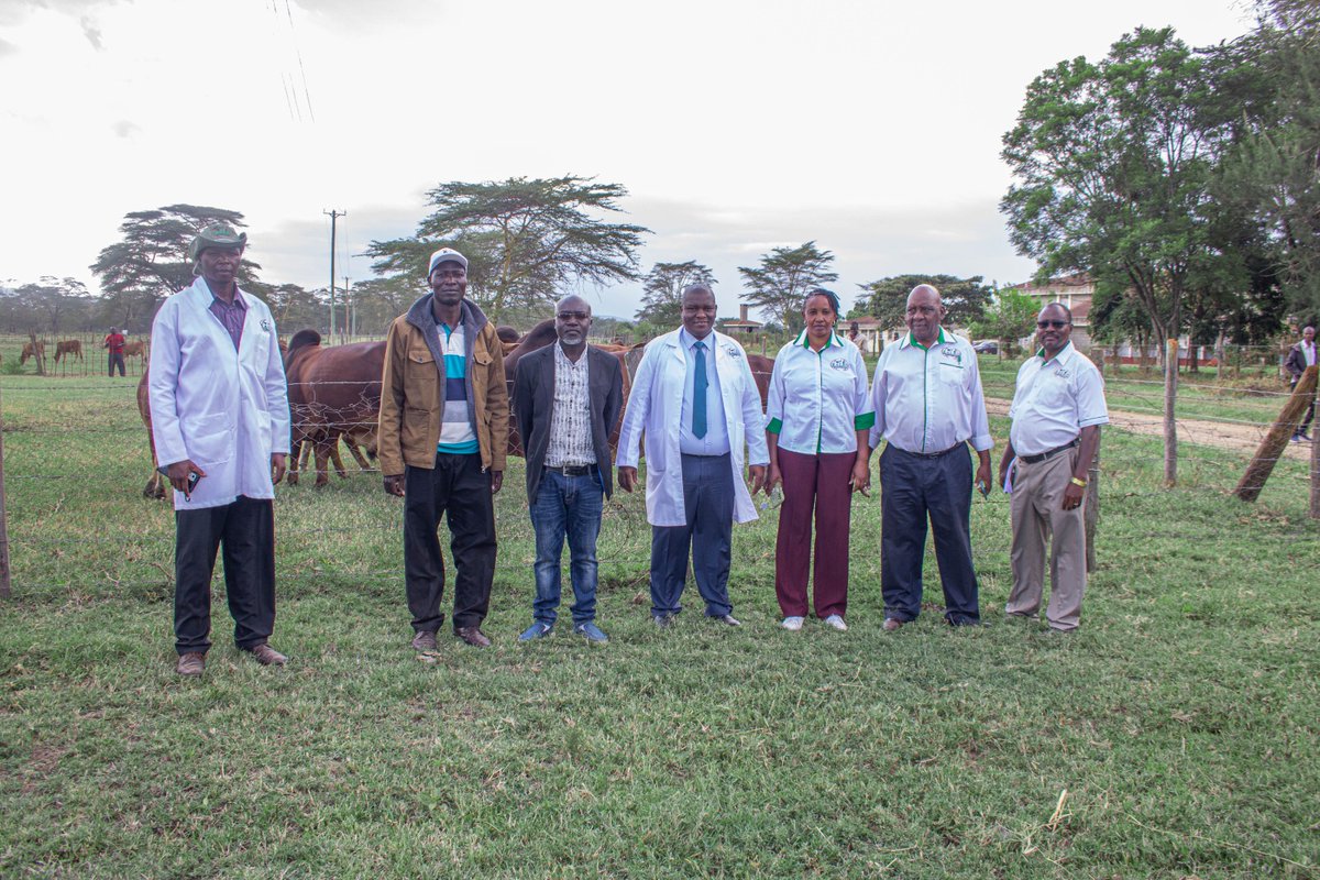 kalromkulima's tweet photo. The Dairy Research Institute (DRI), Naivasha, has since wednesday, been participating in the on going KALRO Mkulima Expo Week, showcasing technologies and products from the Institute and providing teachings by the scientists to attendees on the...
#kalromkulimaopenweek
#kalroDRI https://t.co/TFSNO8jpUF