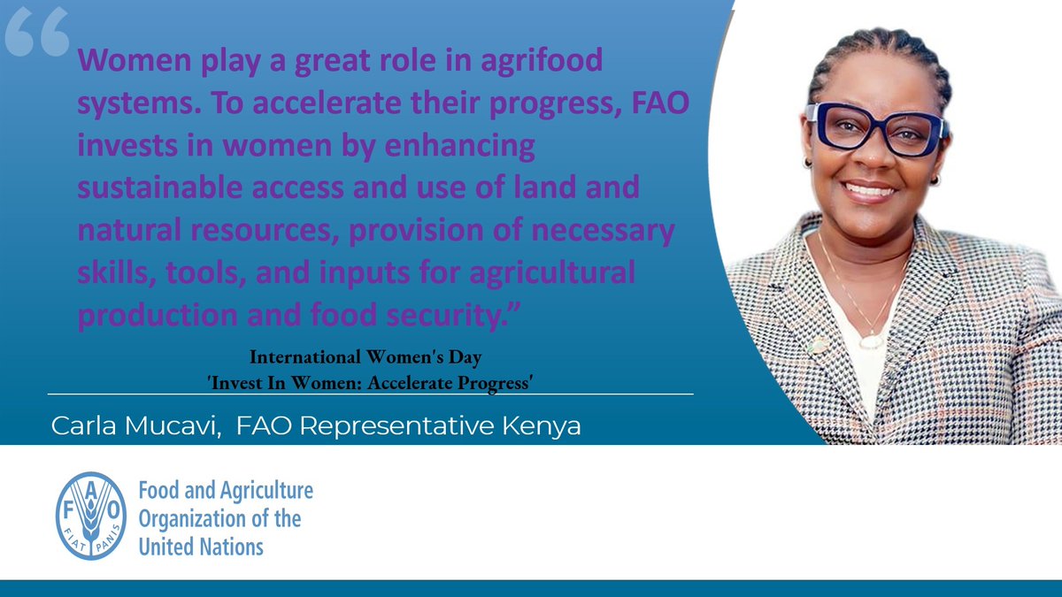 FAO in Kenya tweet media
