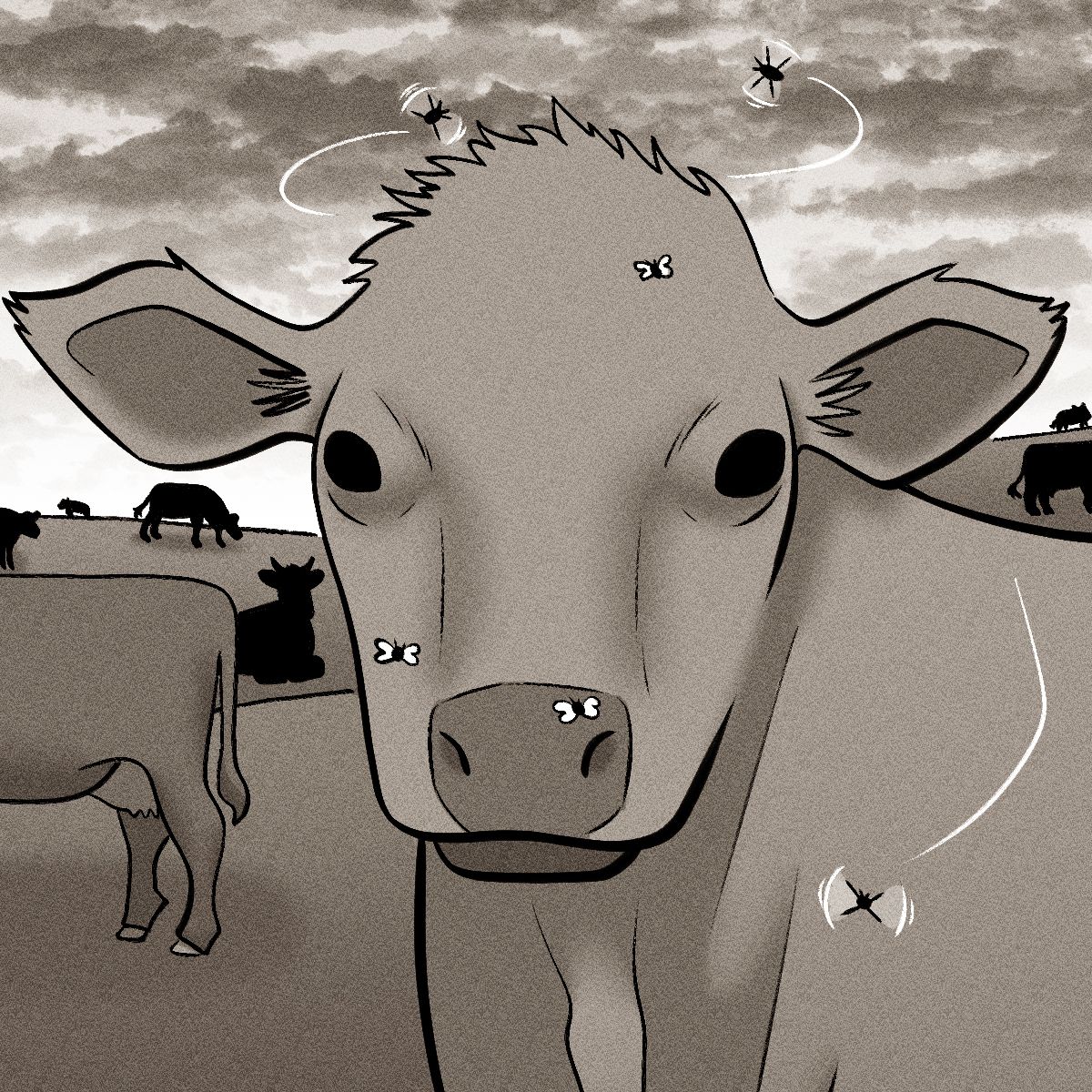 Amplified Press tweet media