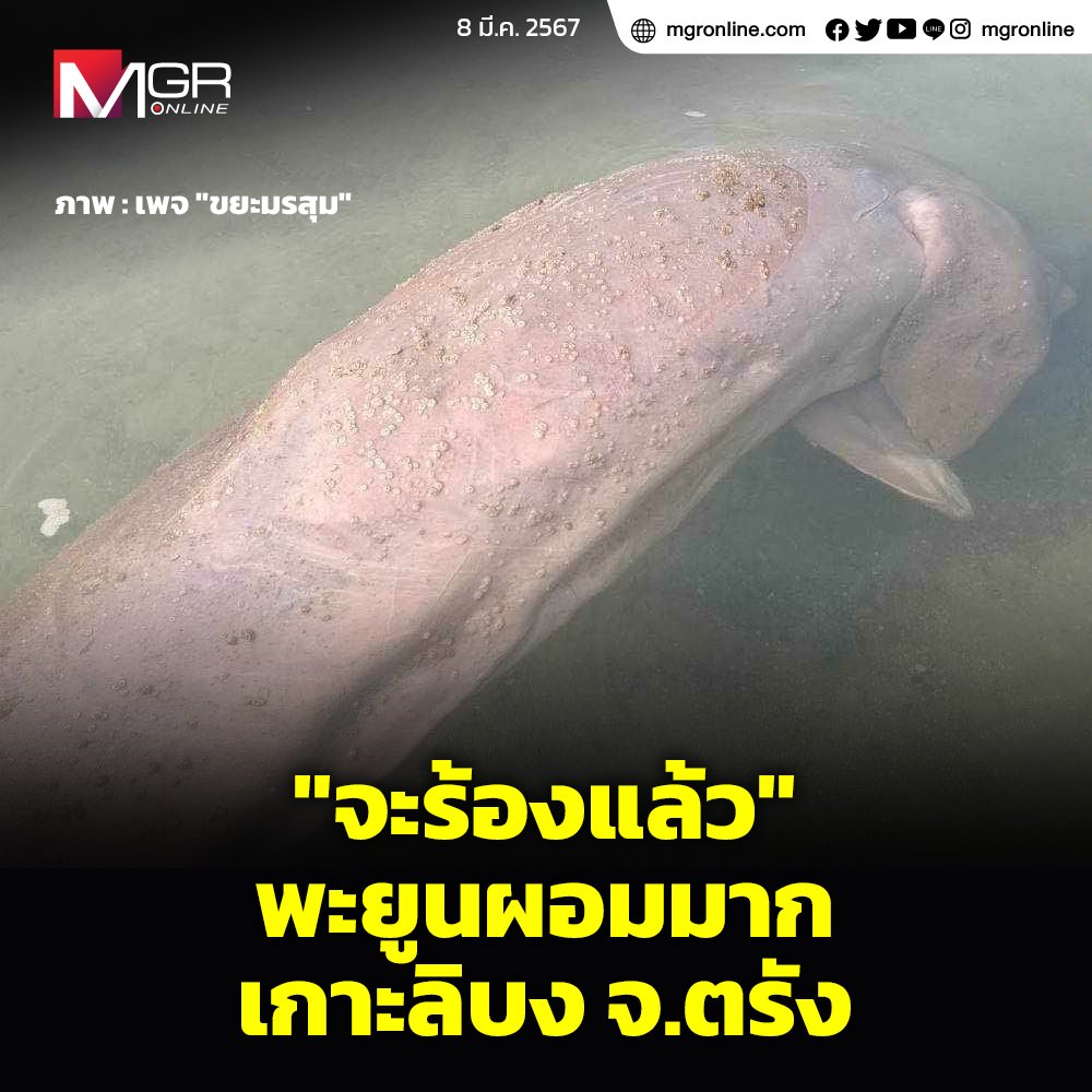 SmallBlackhole's tweet photo. อยากให้เรื่องนี้เป็นวาระแห่งชาติเหมือนกะเทยตบกันที่สุขุมวิทบ้าง https://t.co/JXOFDMQZmz